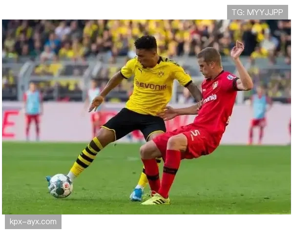 多特蒙德签下新星，阵容升级剑指德甲冠军