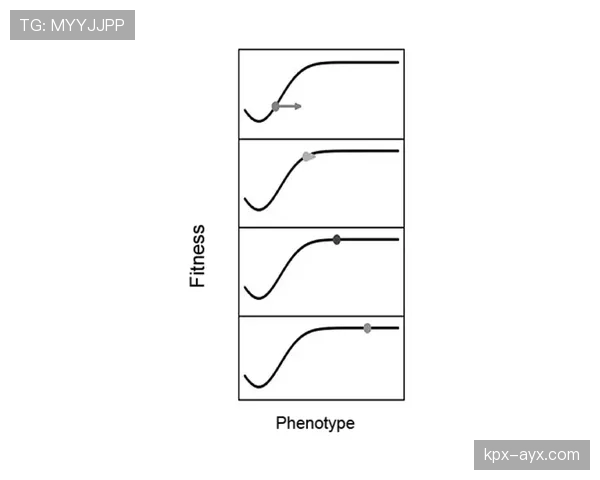 达尼洛领导力评价揭示：多变环境中塑造卓越领导者的关键特质
